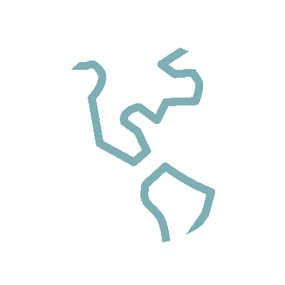 History of the Sport